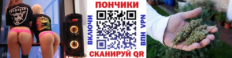 Бошки Шишки семена Барабинск